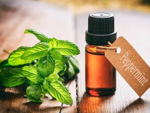 Wholesale essential oils from India media 2