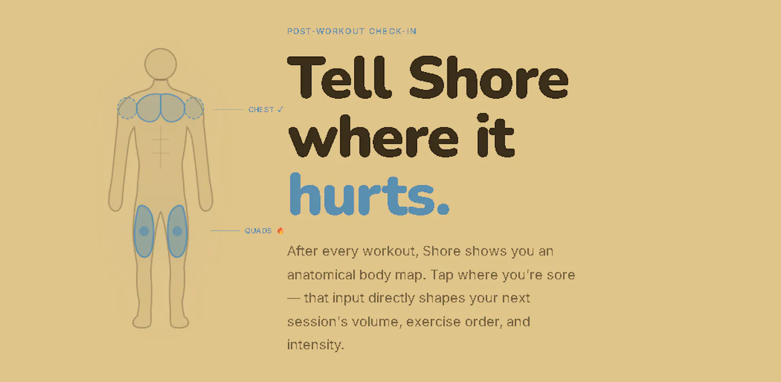Shore — Join the Waitlist screenshot 3