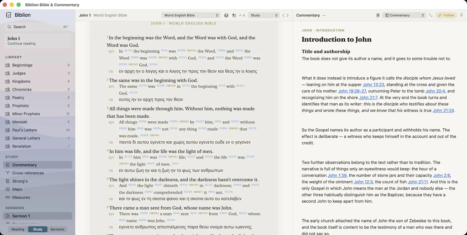 Biblion Bible Study screenshot 7