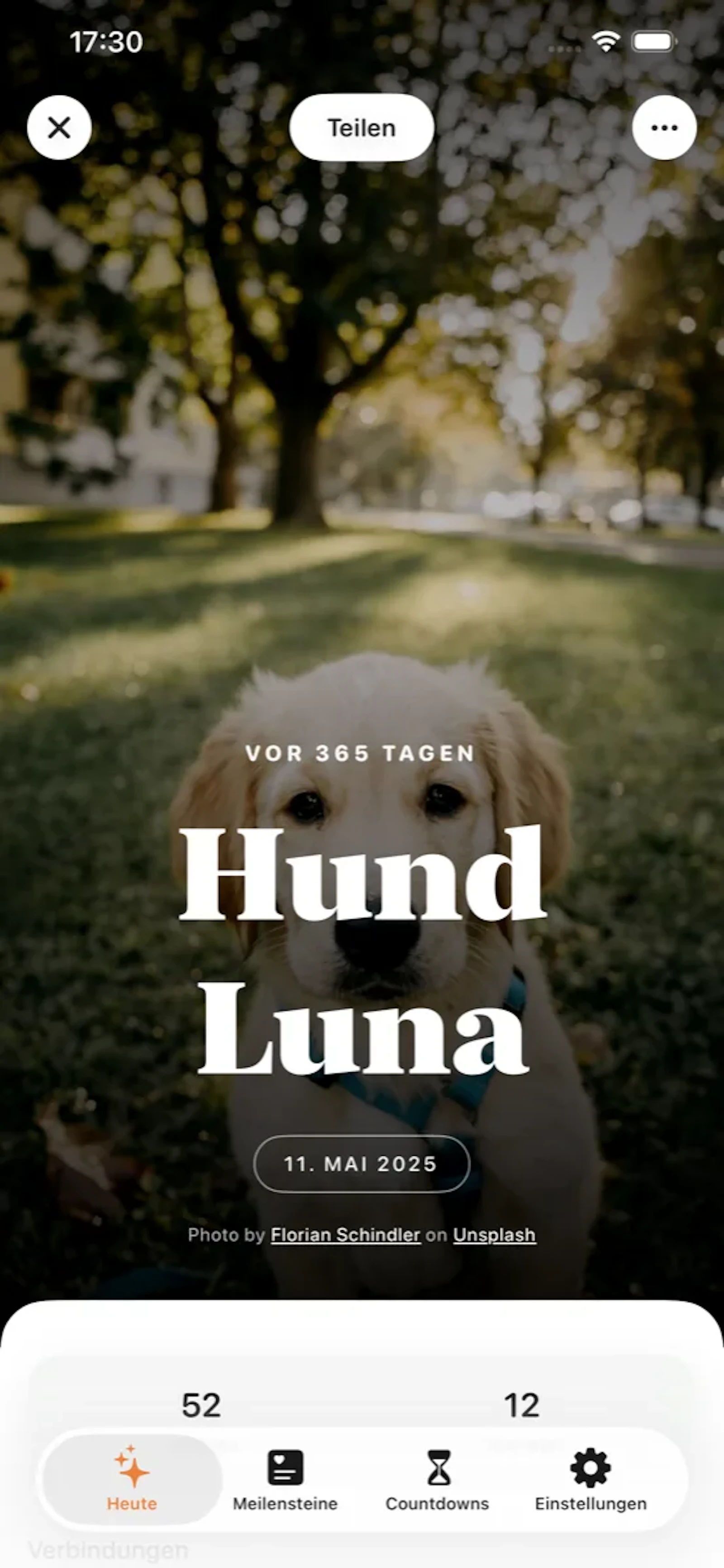 seit screenshot 4