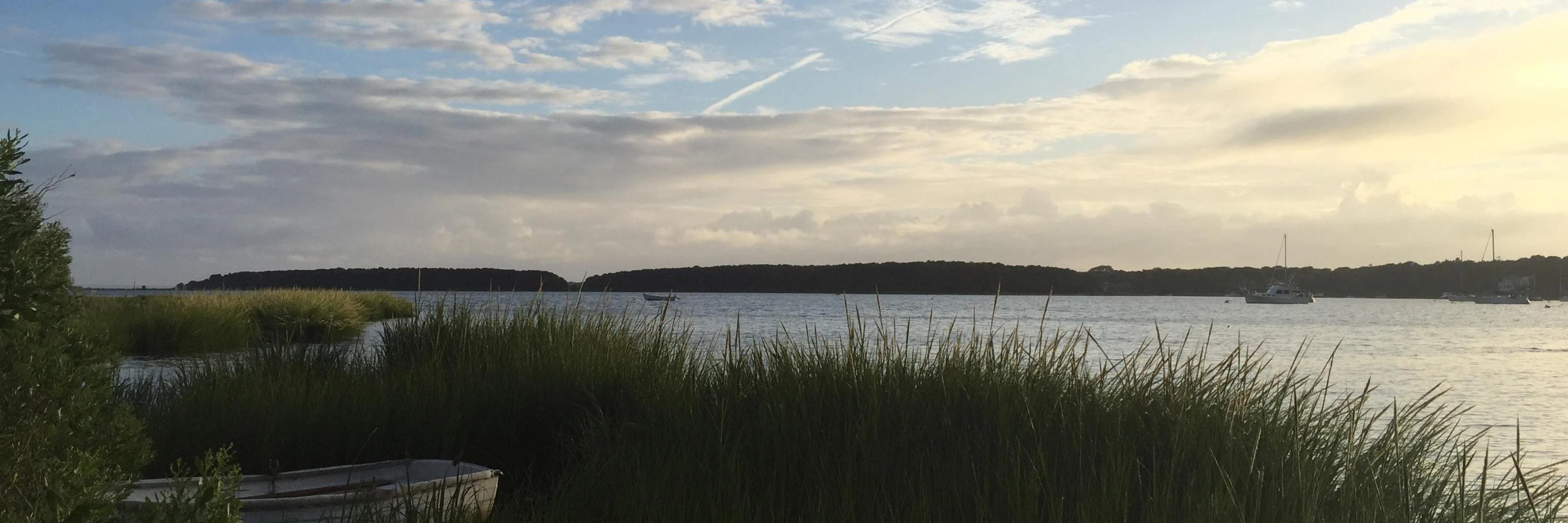 Ben Werdmüller cover