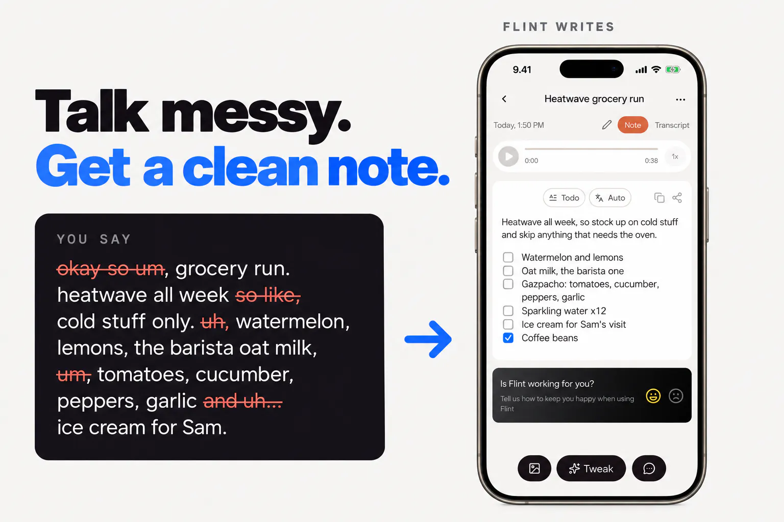 Flint — You talk, Flint writes. gallery image