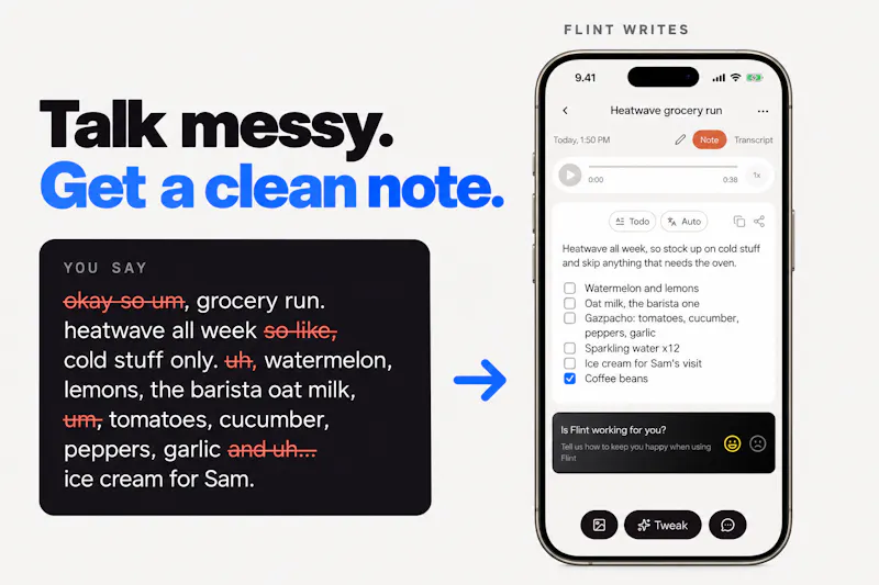 Flint — You talk, Flint writes. screenshot 6