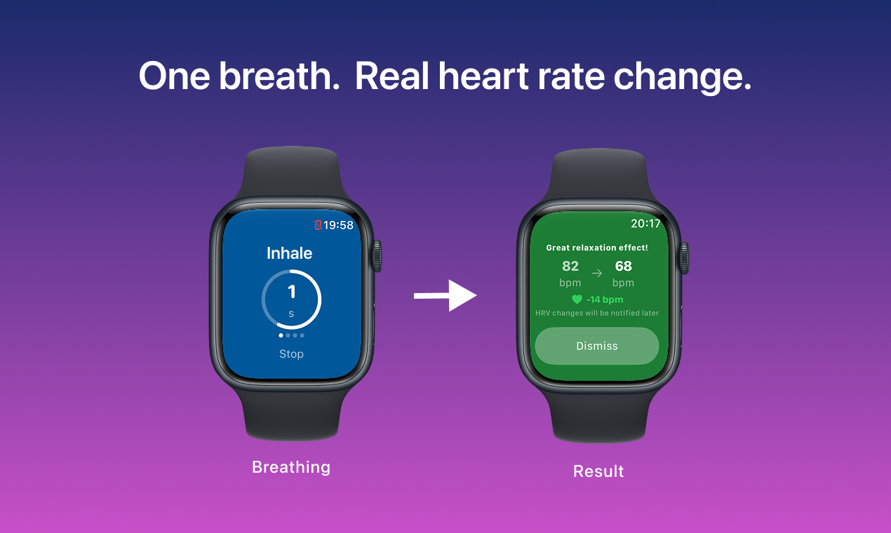 HRV Flow gallery image