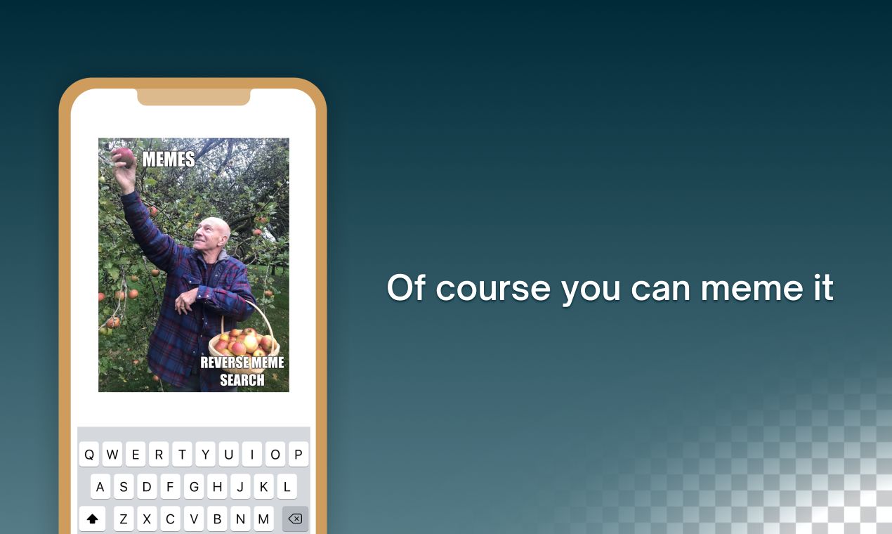 Reverse Meme Search gallery image