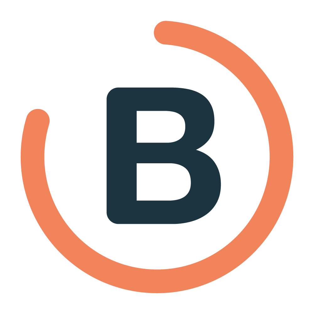 Boundless Labs logo