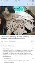 narwhal 2.0 for reddit gallery image