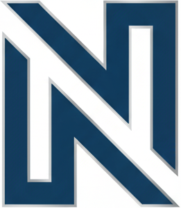 NerqonPro—The AI Search Engine gallery image