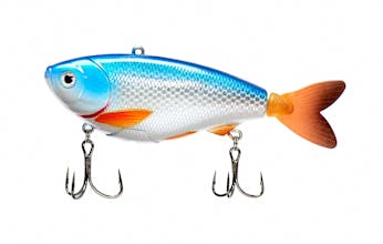 eMinnow gallery image