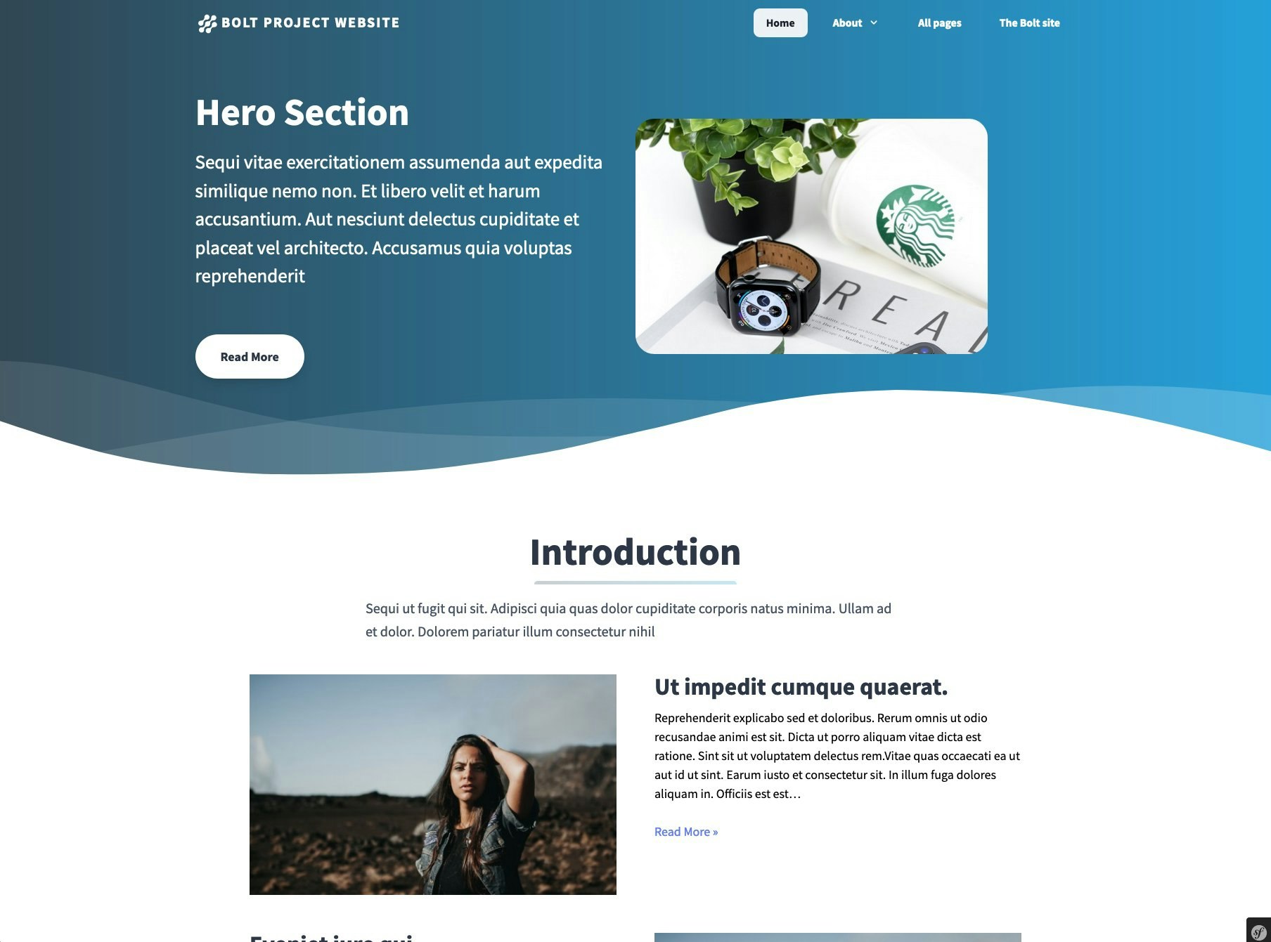 Bolt CMS gallery image