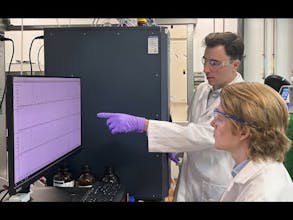 Reactwise gallery image