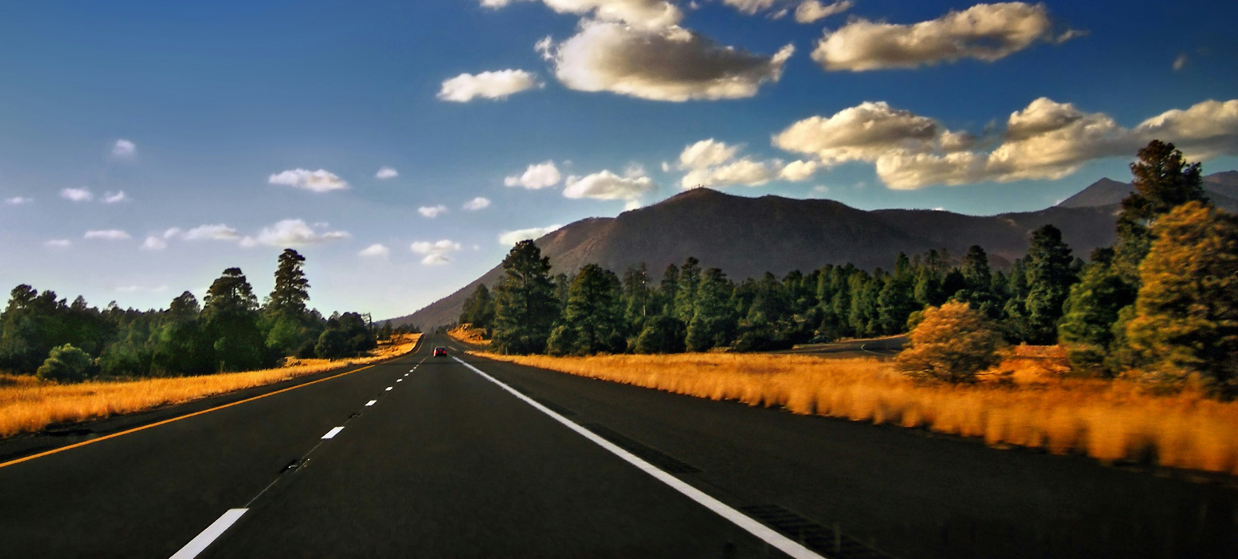 Pynit App gallery image