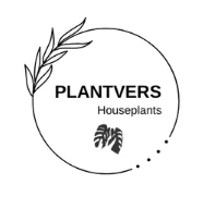 PlantVers Houseplants