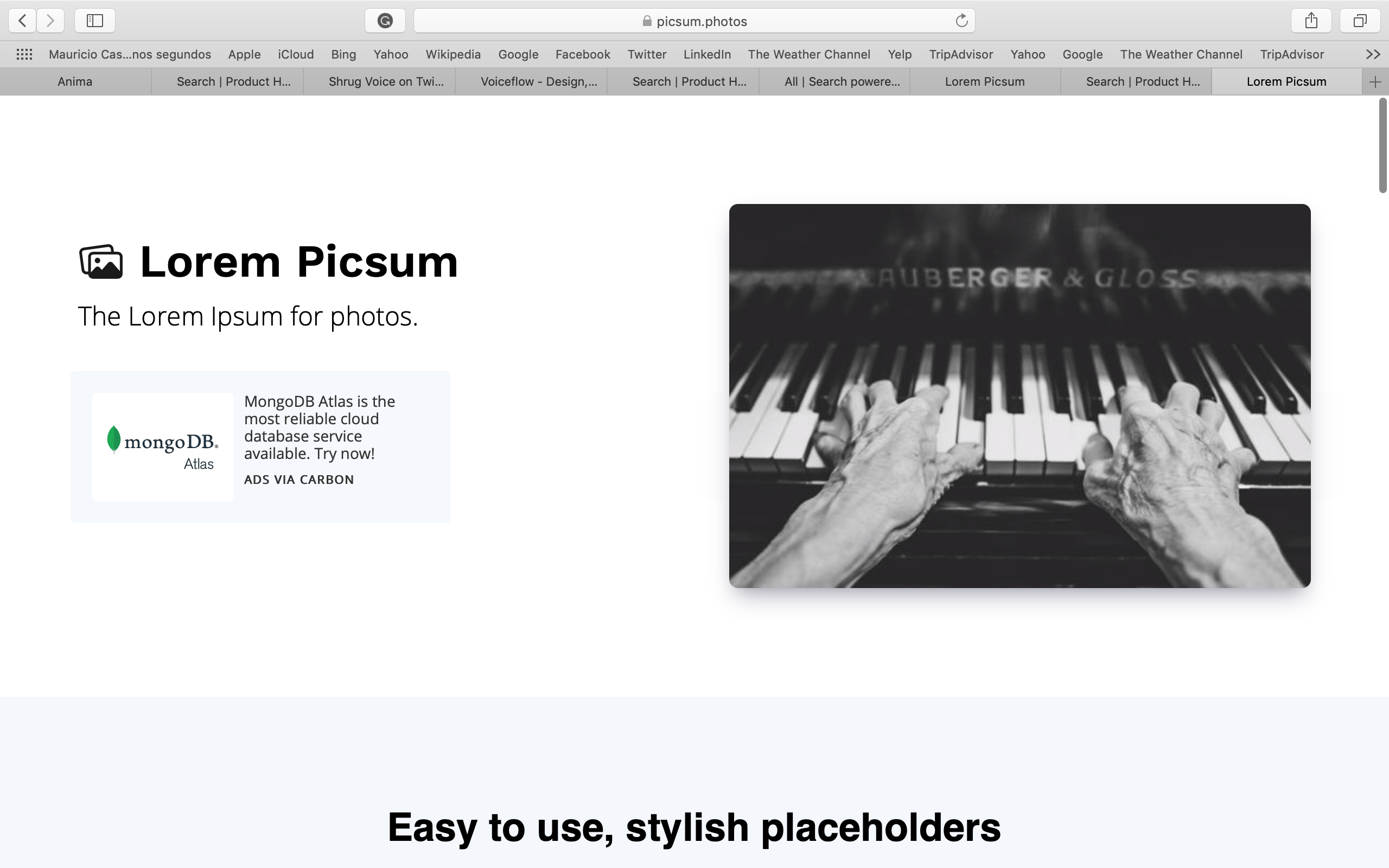 Lorem Picsum gallery image