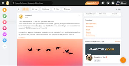 Que.Pet gallery image