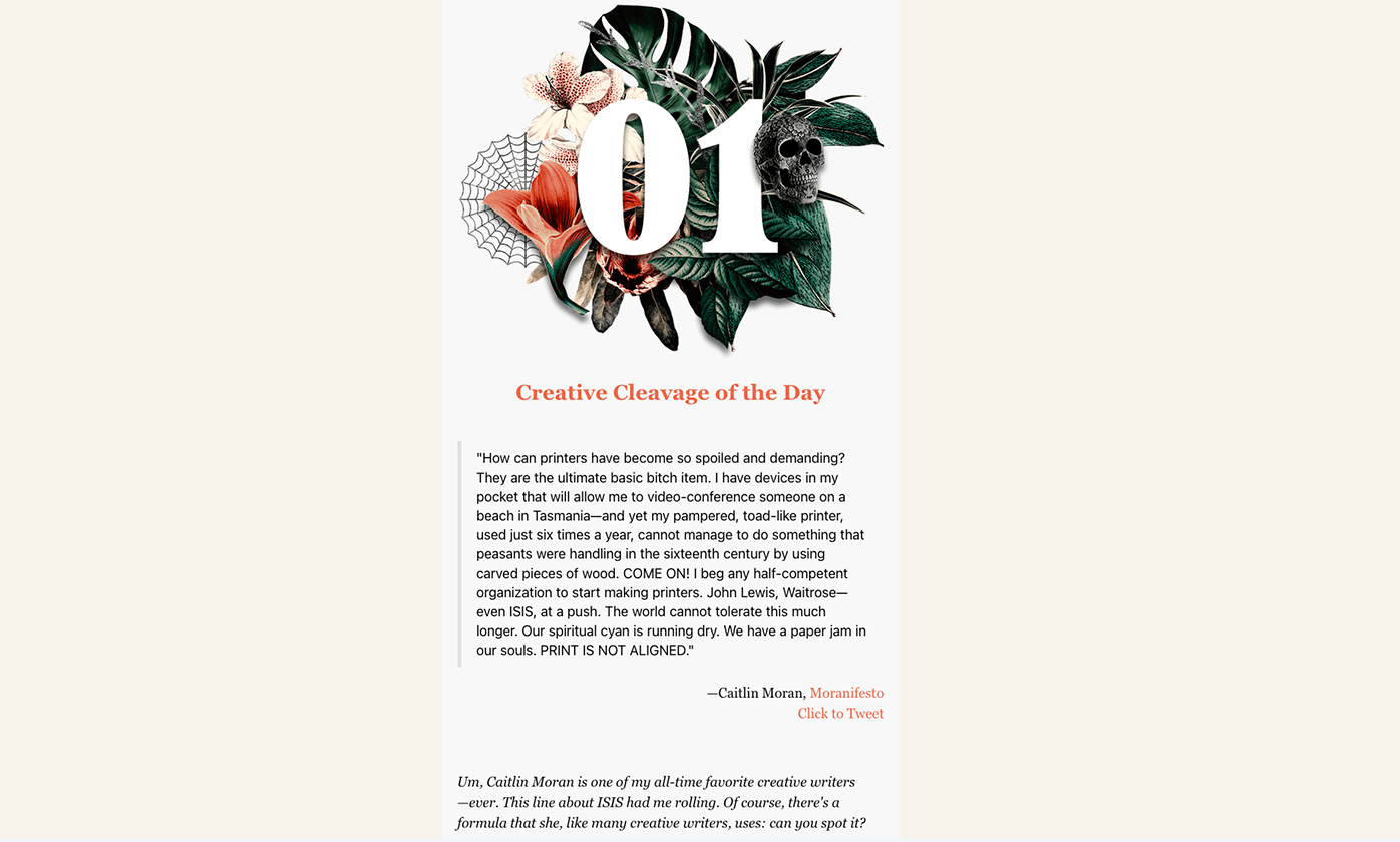 Meat & Hair Creative Writing Newsletter gallery image