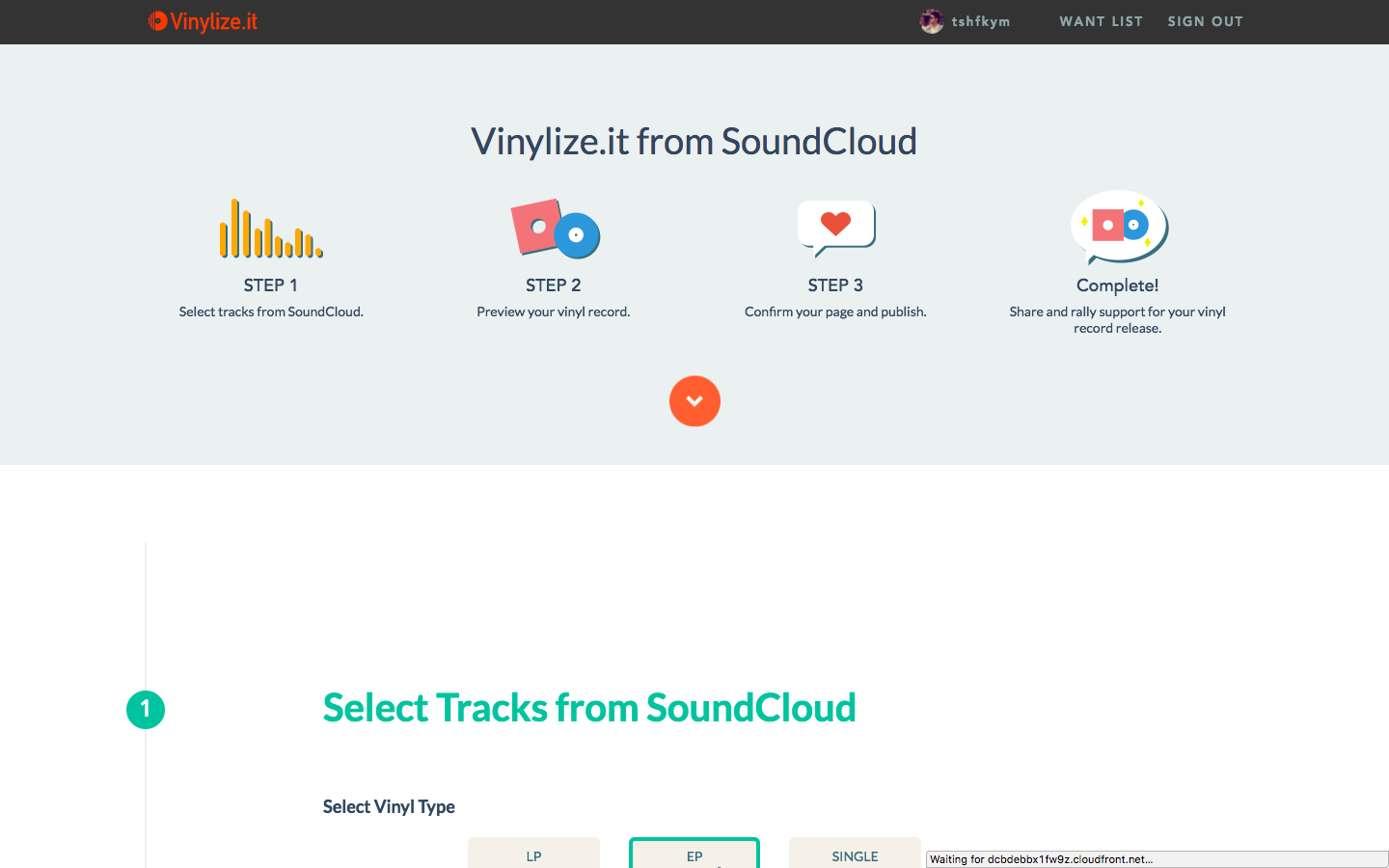 Vinylize.it gallery image