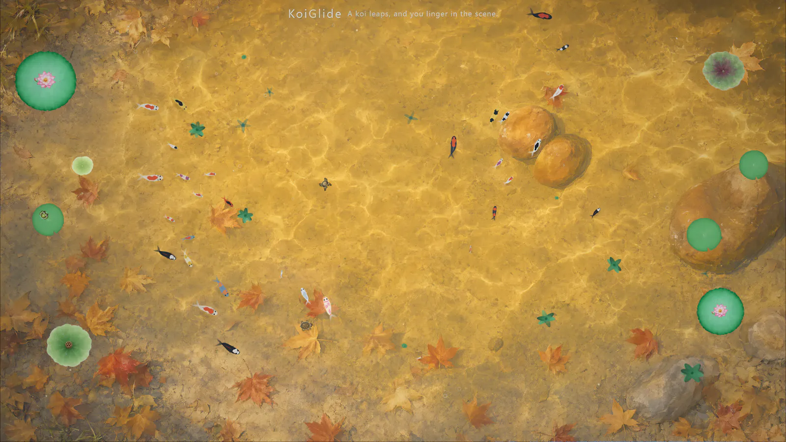 KoiGlide screenshot 4