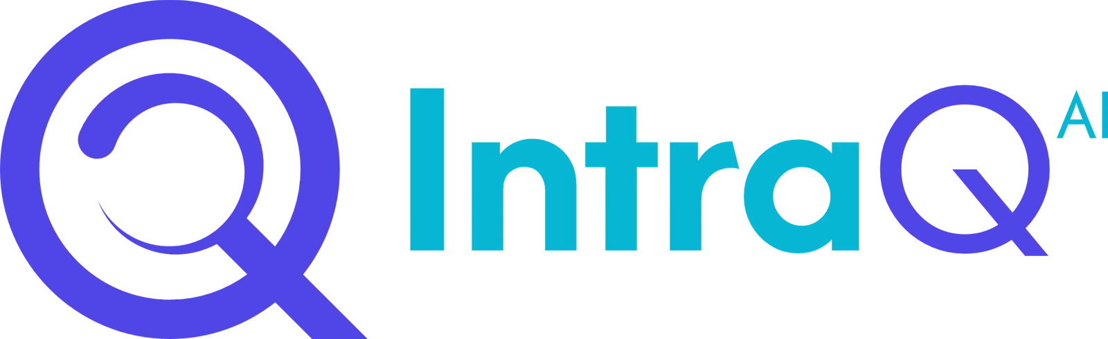 IntraQ screenshot 2