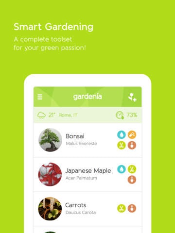 Gardenia gallery image