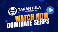 Tarantula SEO Spider