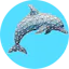 Dolphin Assistant