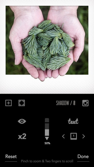 Lolaroid gallery image