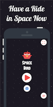 Space Bird gallery image