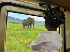 Africantrust Safari gallery image