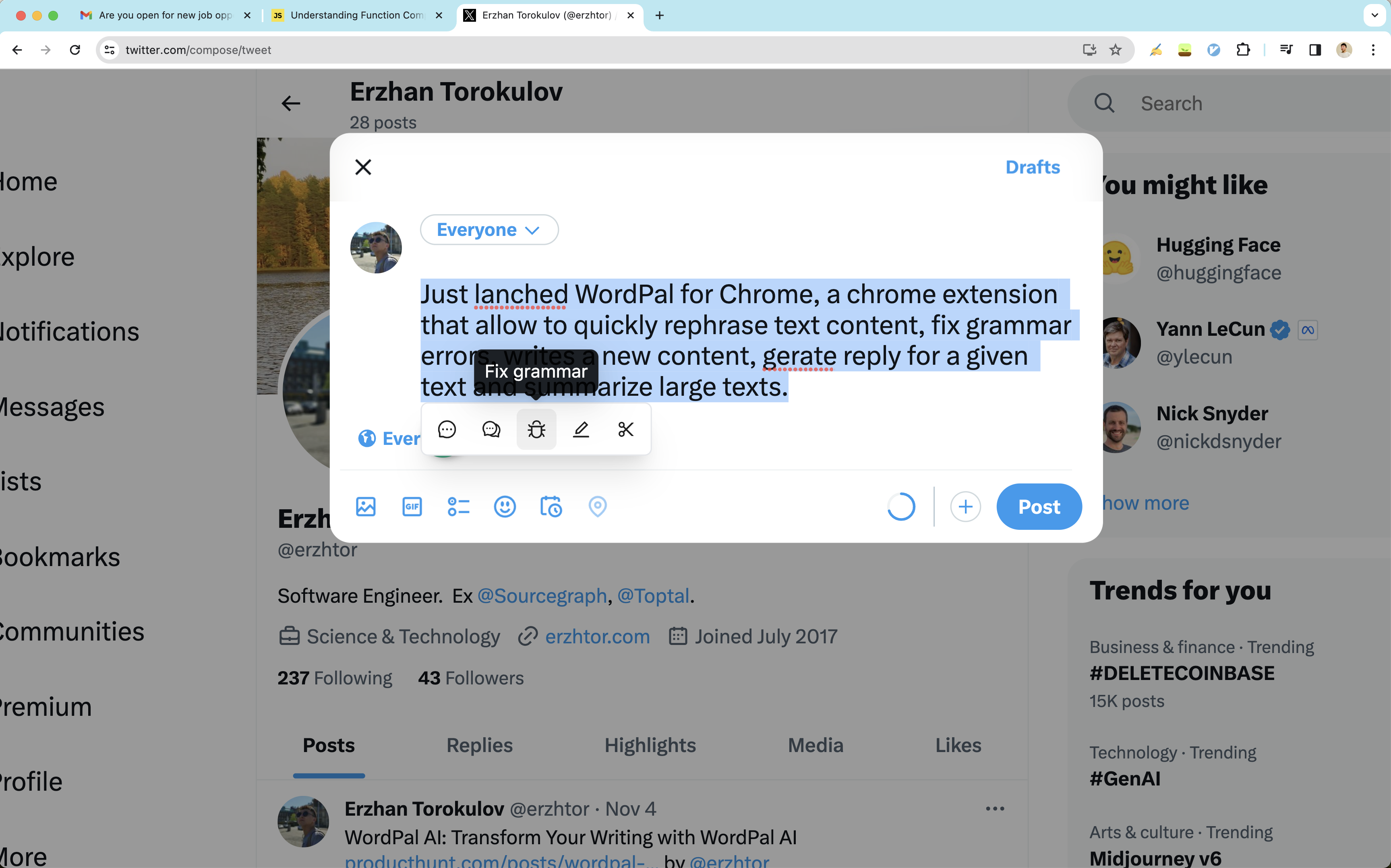 Chrome的WordPal media 7