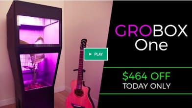 GroBox One gallery image