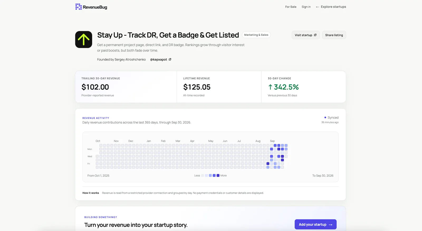 RevenueBug screenshot 2