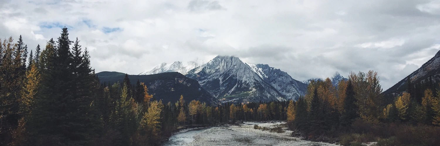 Carrie Melissa Jones cover