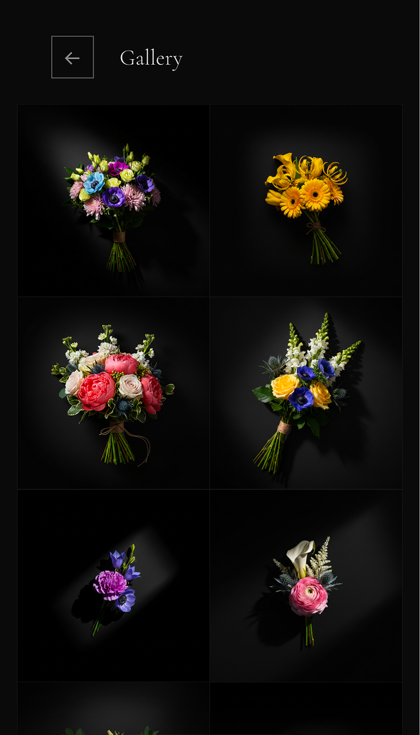 Petal Studio gallery image