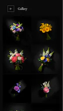 Petal Studio gallery image