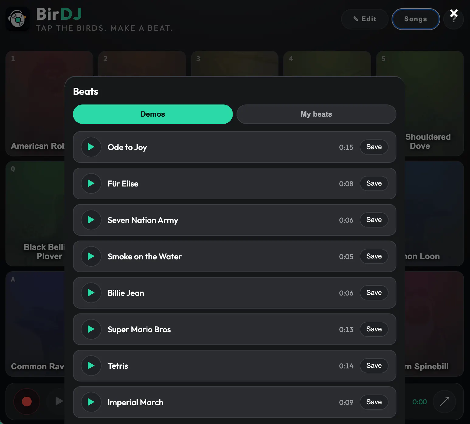 BirDJ gallery image