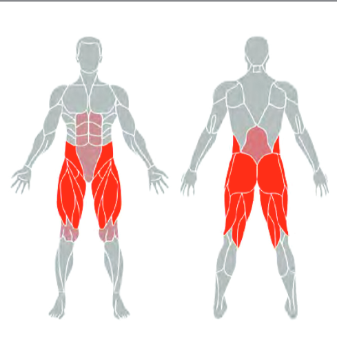 Entraînements gratuits de fitness intelligent