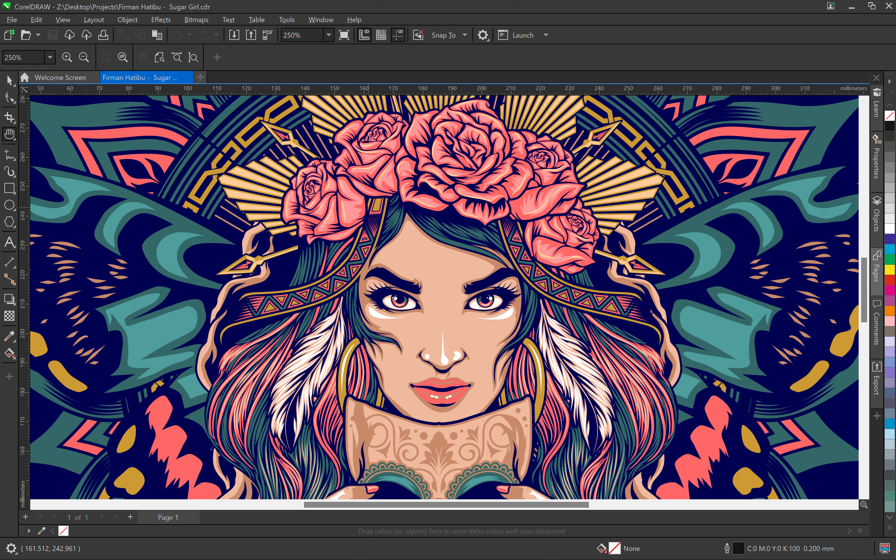 CorelDRAW Graphics Suite 2022 Full Free media 2