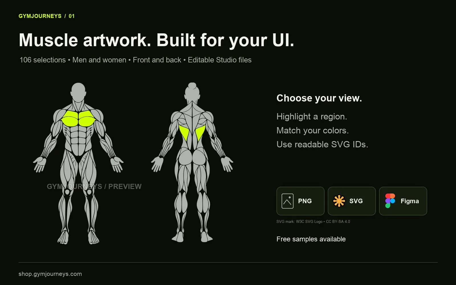 GymJourneys Muscle Collection gallery image