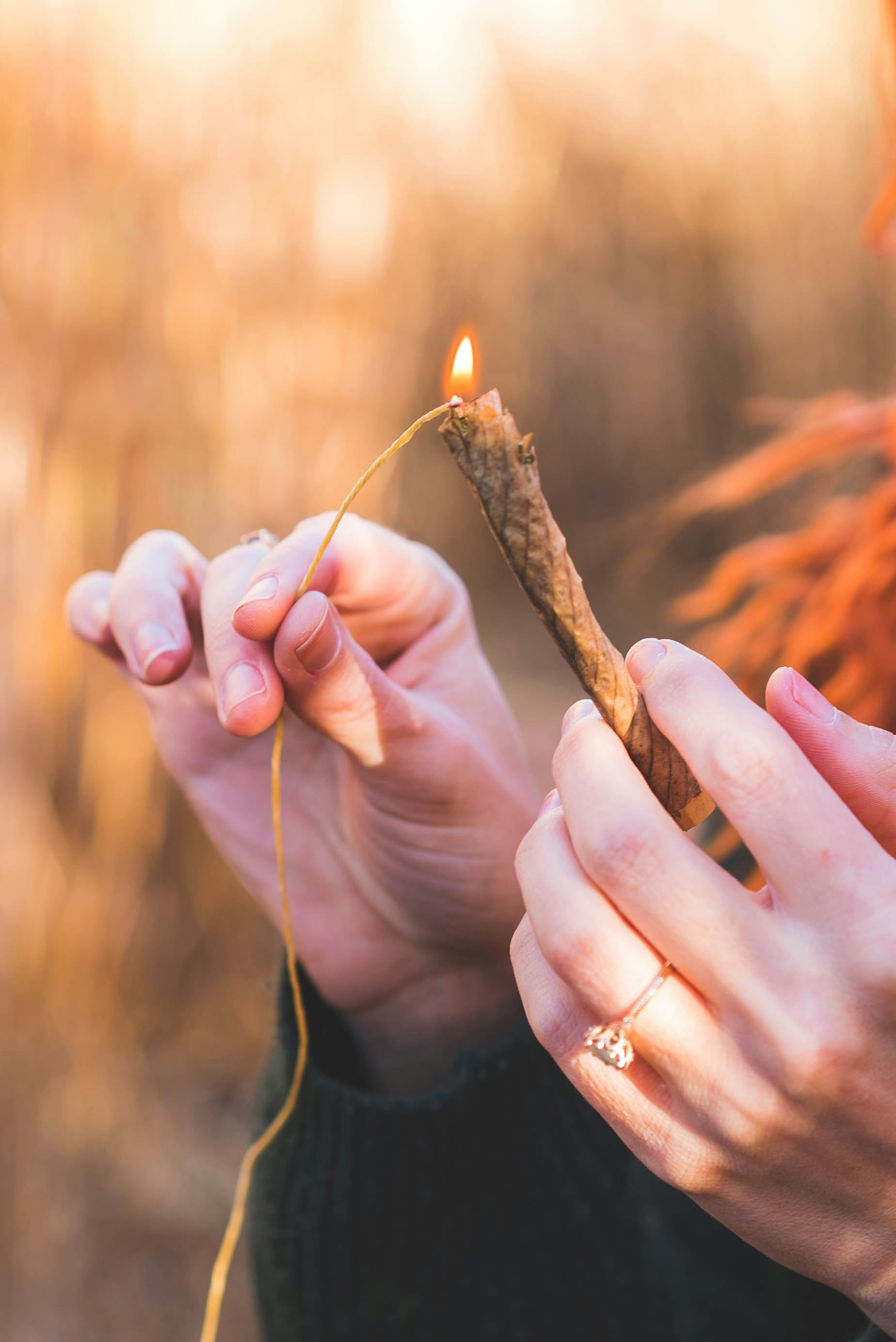 Native Leaf gallery image