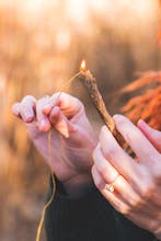 Native Leaf gallery image