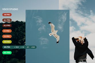 VSCO Studio: el destino definitivo para creadores para explorar, crear y compartir visión.