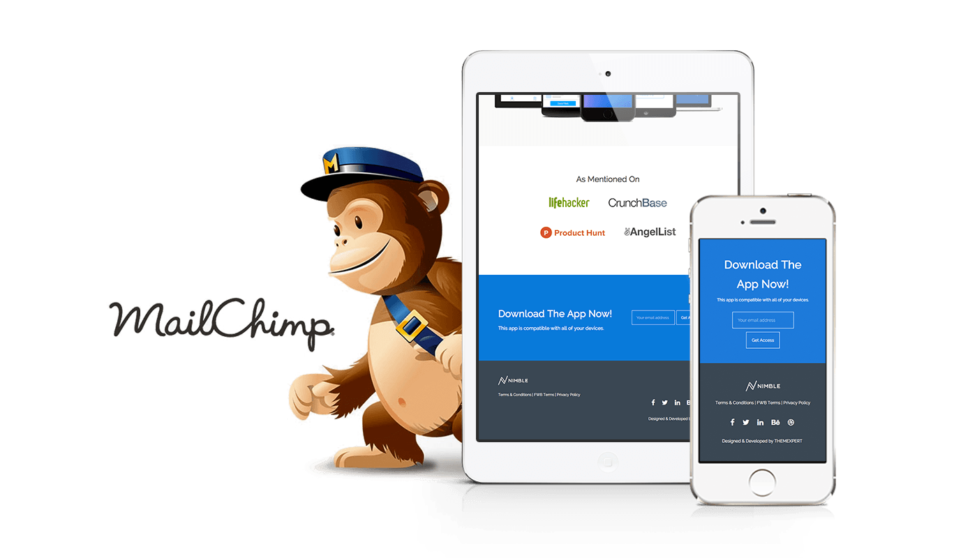 Nimble Theme for WordPress gallery image