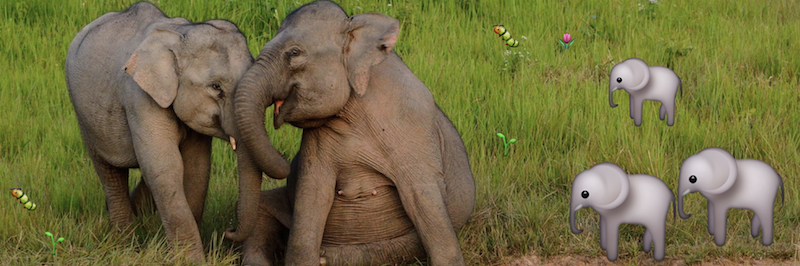 Outsource Your Memory With These Apps 🐘