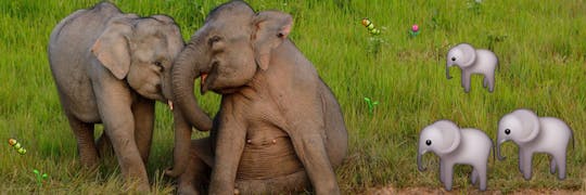 Outsource Your Memory With These Apps 🐘