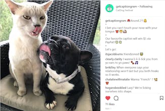 Captiongram gallery image