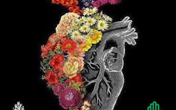 Cosmic Heart Conversations - Podcast by Romania Healing media 3