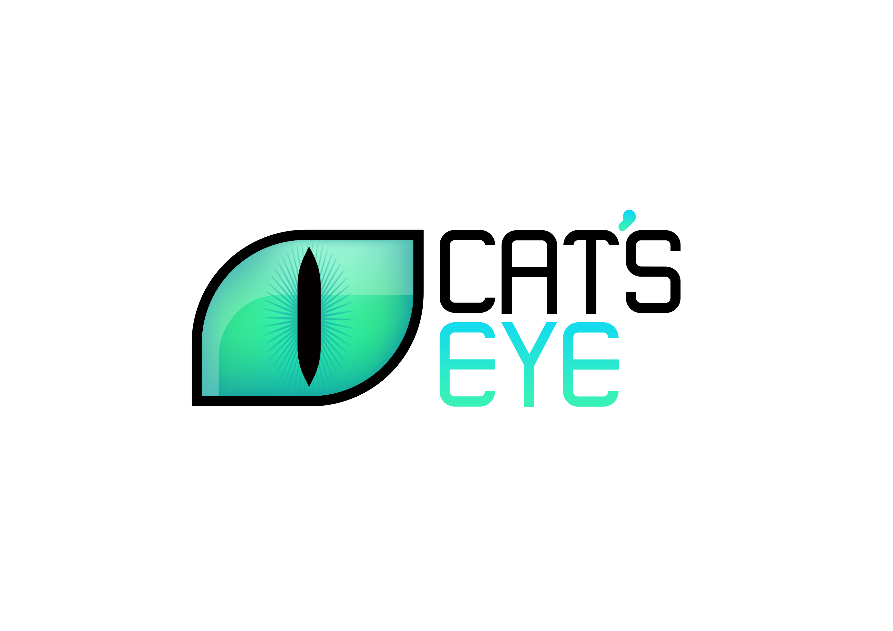 Kattenoog