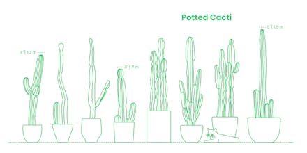 Dimensions.Guide gallery image