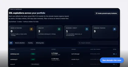 OSINTeasy – Domain Security Workspace gallery image